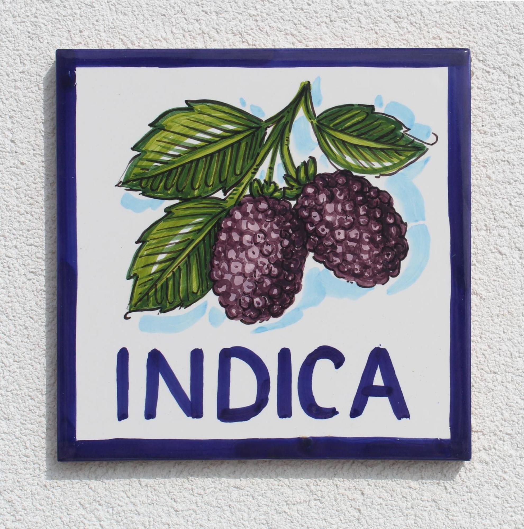 Le More Di Praiano Exteriör bild
